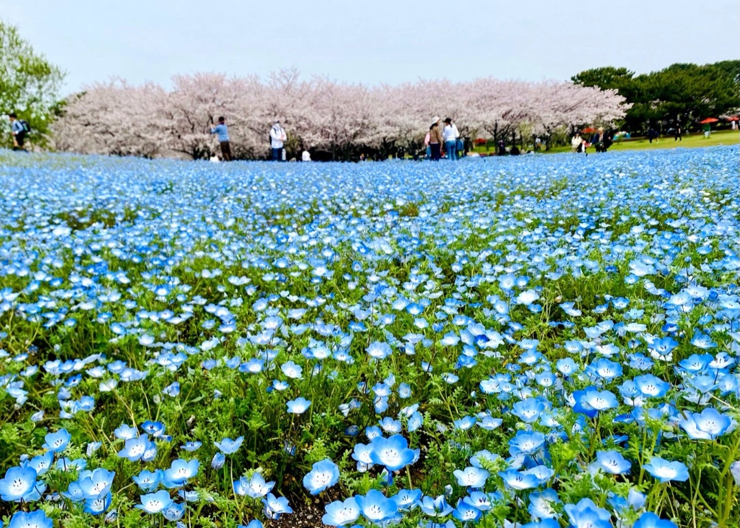 Uminonakamichi / Saitozaki