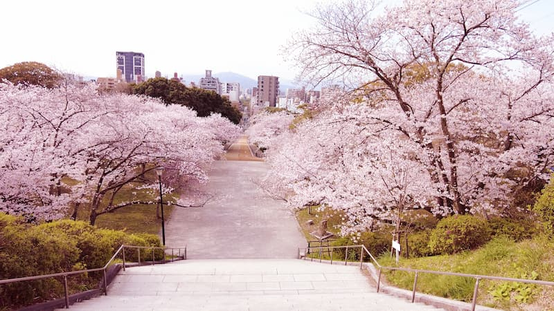 Nishi Park